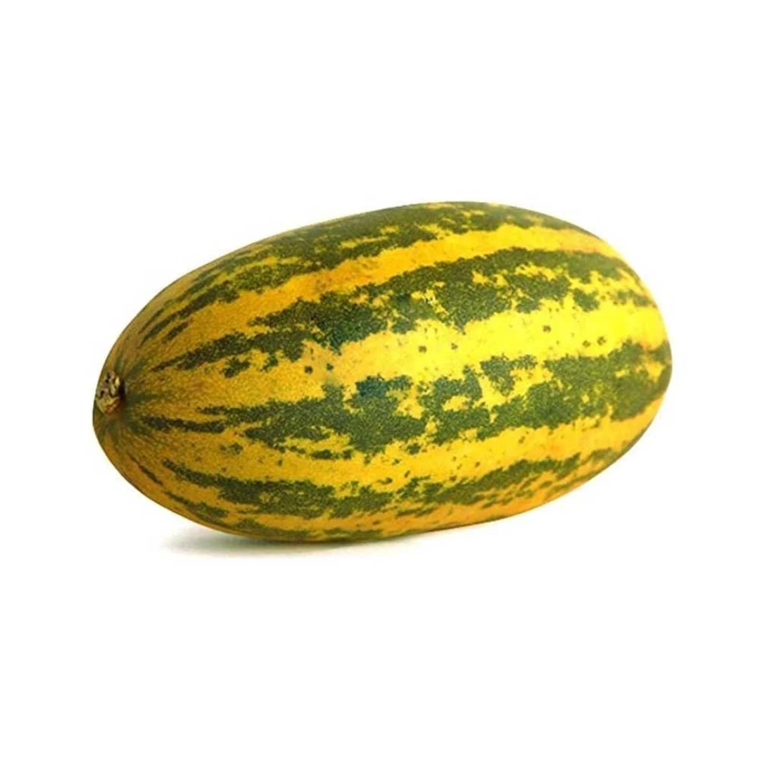 Green (Base) Pan India A Grade Fresh Vellari Supplier and Distributor – UAE